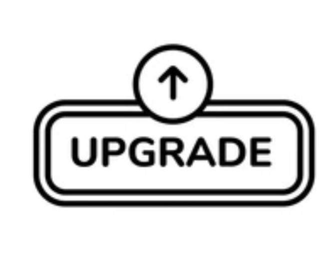 🌸Upgrade 10 Items!!🌸